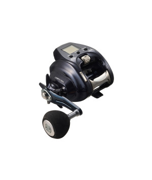 DAIWA LEOBRITZ 300JL