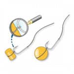 Anelli Elastici Per Esche Grandi Stonfo