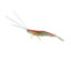 BERKLEY POWERBAIT YABAI SHRIMP 3.2"-0