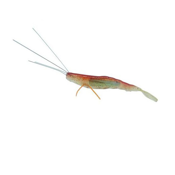 BERKLEY POWERBAIT YABAI SHRIMP 3.2"-0