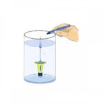 STONFO DOSAPIOMBO-16423