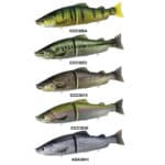 DUO REALIS ONIMASU-12603