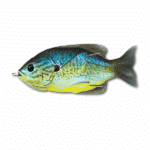 LIVETARGET SUNFISH 90-0