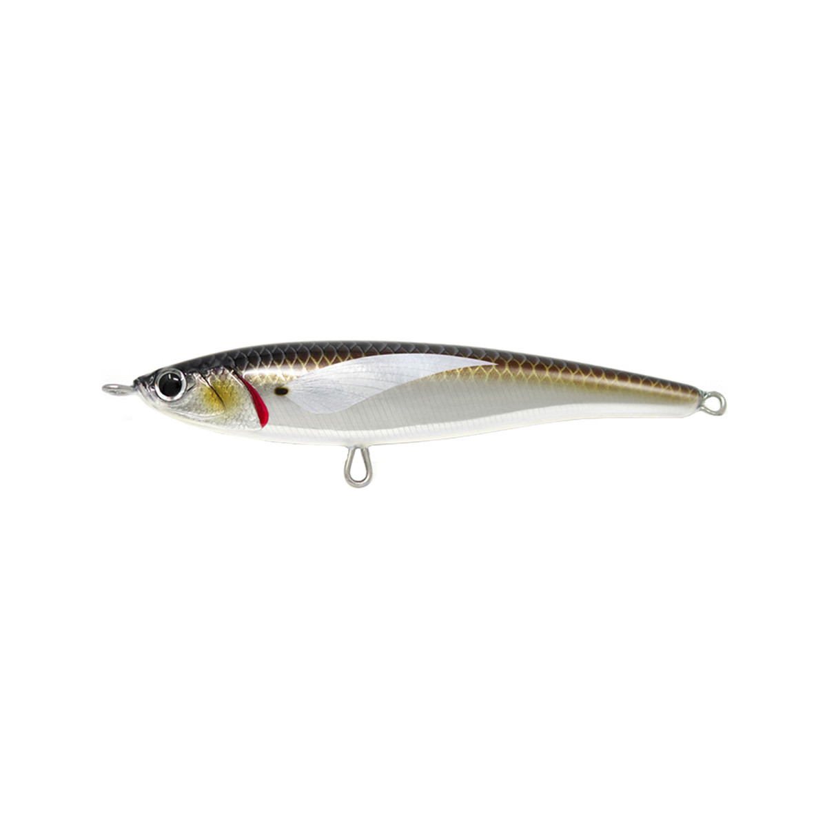 JACK FIN PELAGUS 165-S-0 JACK FIN PELAGUS 165-S-0