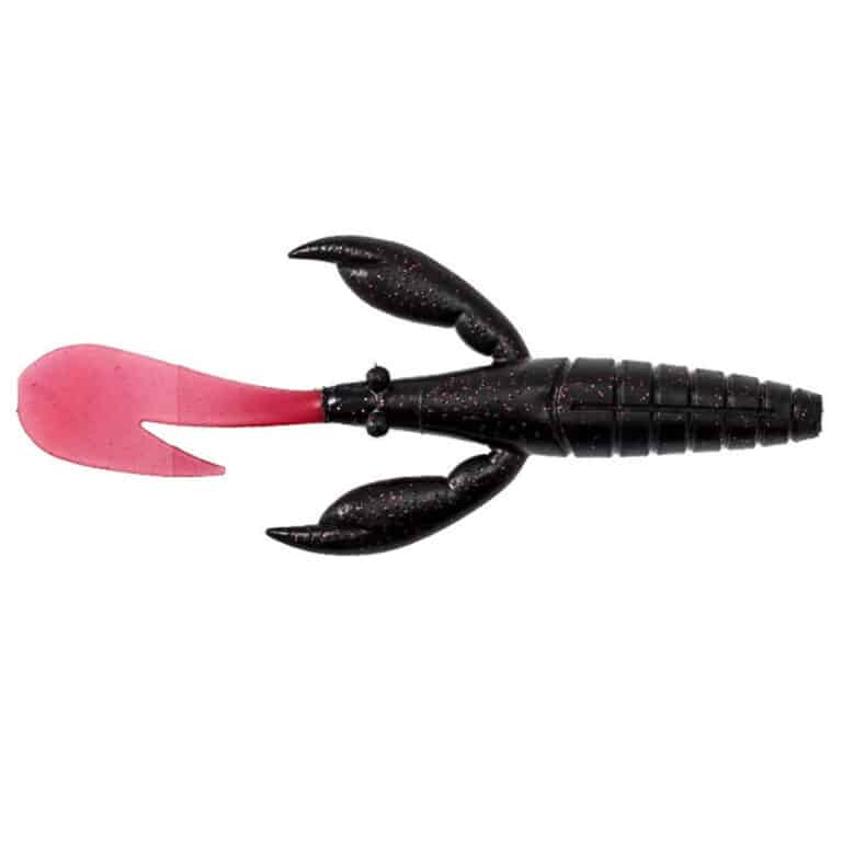 LEGIO AUREA SCORPIO-0