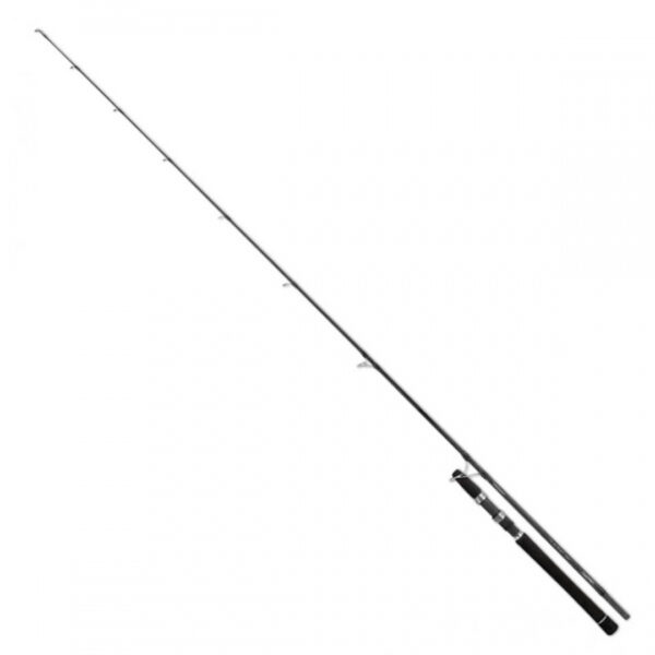 DAIWA SALTIST INSHORE-0