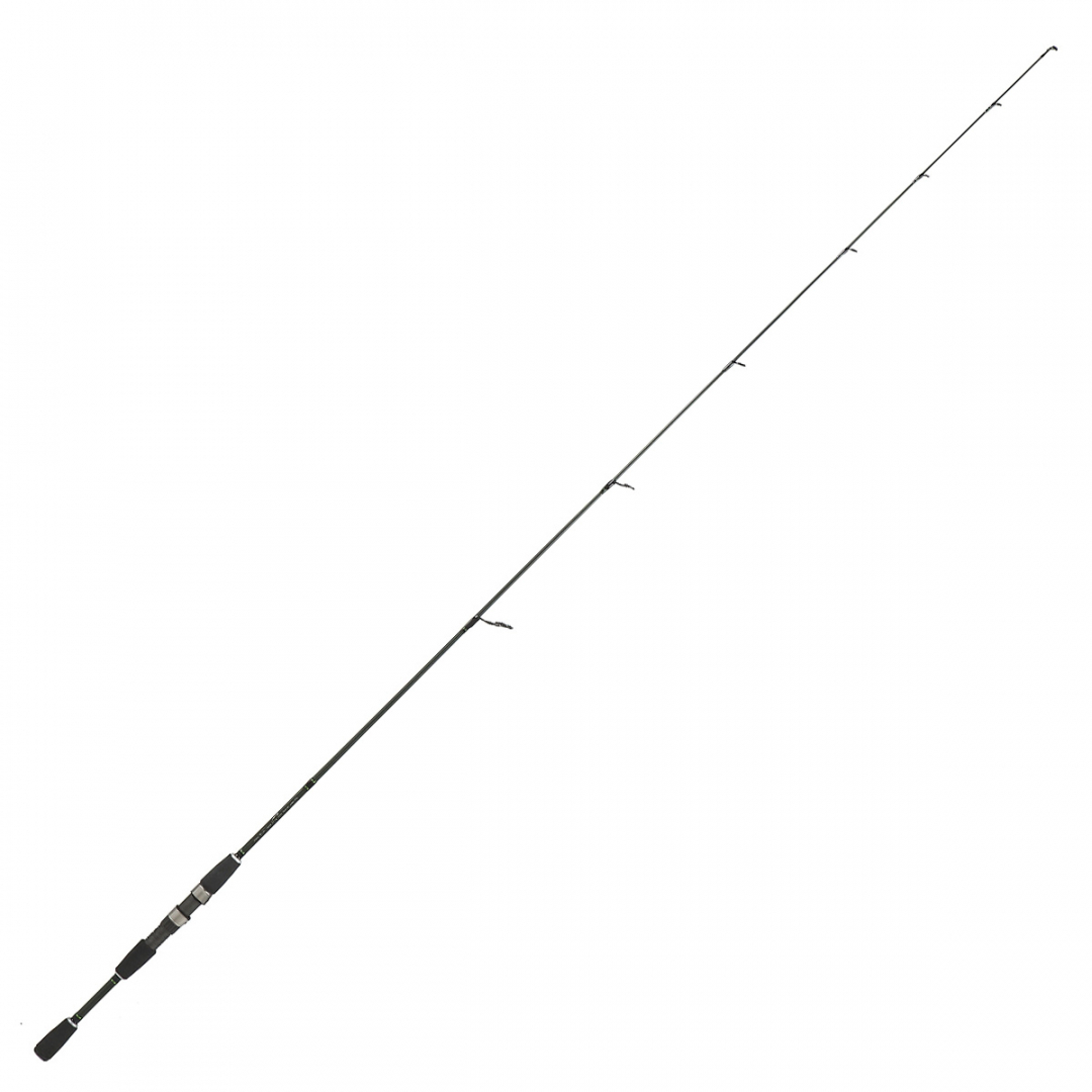 canna italcanna exilis canna italcanna exilis