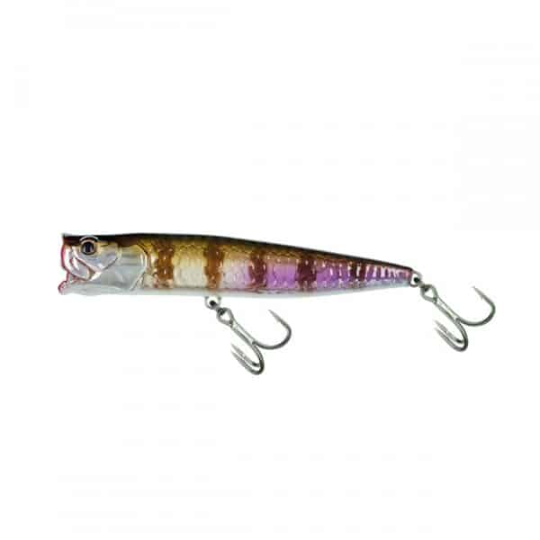 molix popper 85t tarpon
