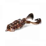 molix-supernato-frog