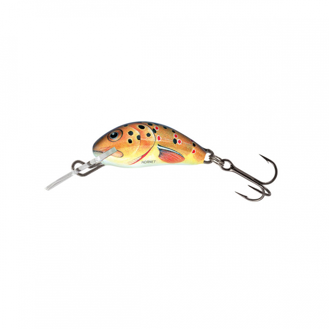 salmo-hornet salmo-hornet
