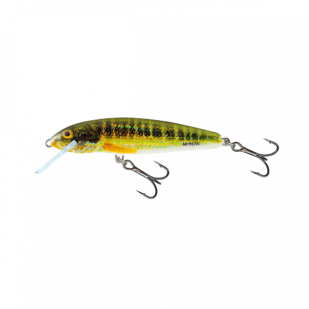 salmo minnow 7 cm floating salmo minnow 7 cm floating