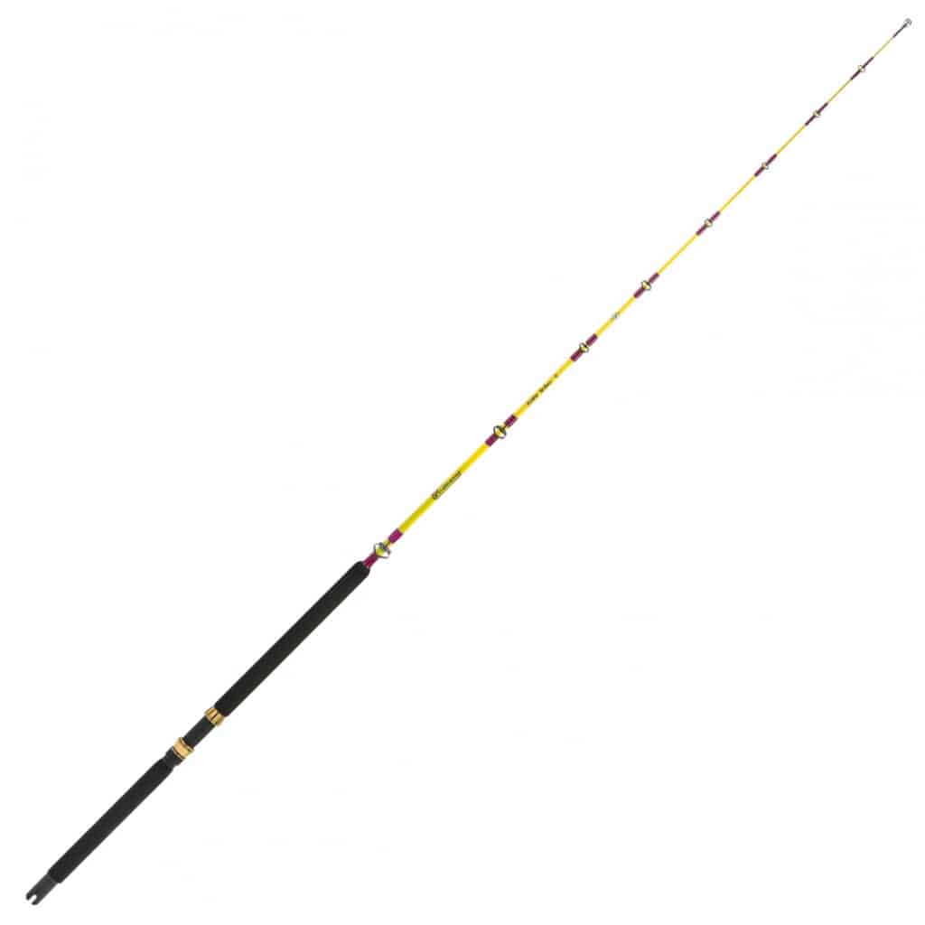 canna italcanna little yellow