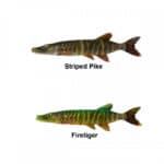 Savage Gear 4D Line Thru Pike