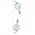 aghi testa bianca stonfo