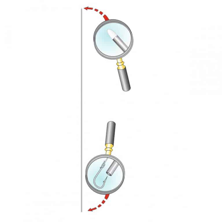 aghi testa bianca stonfo