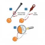 Kit Blocca Esca Stonfo