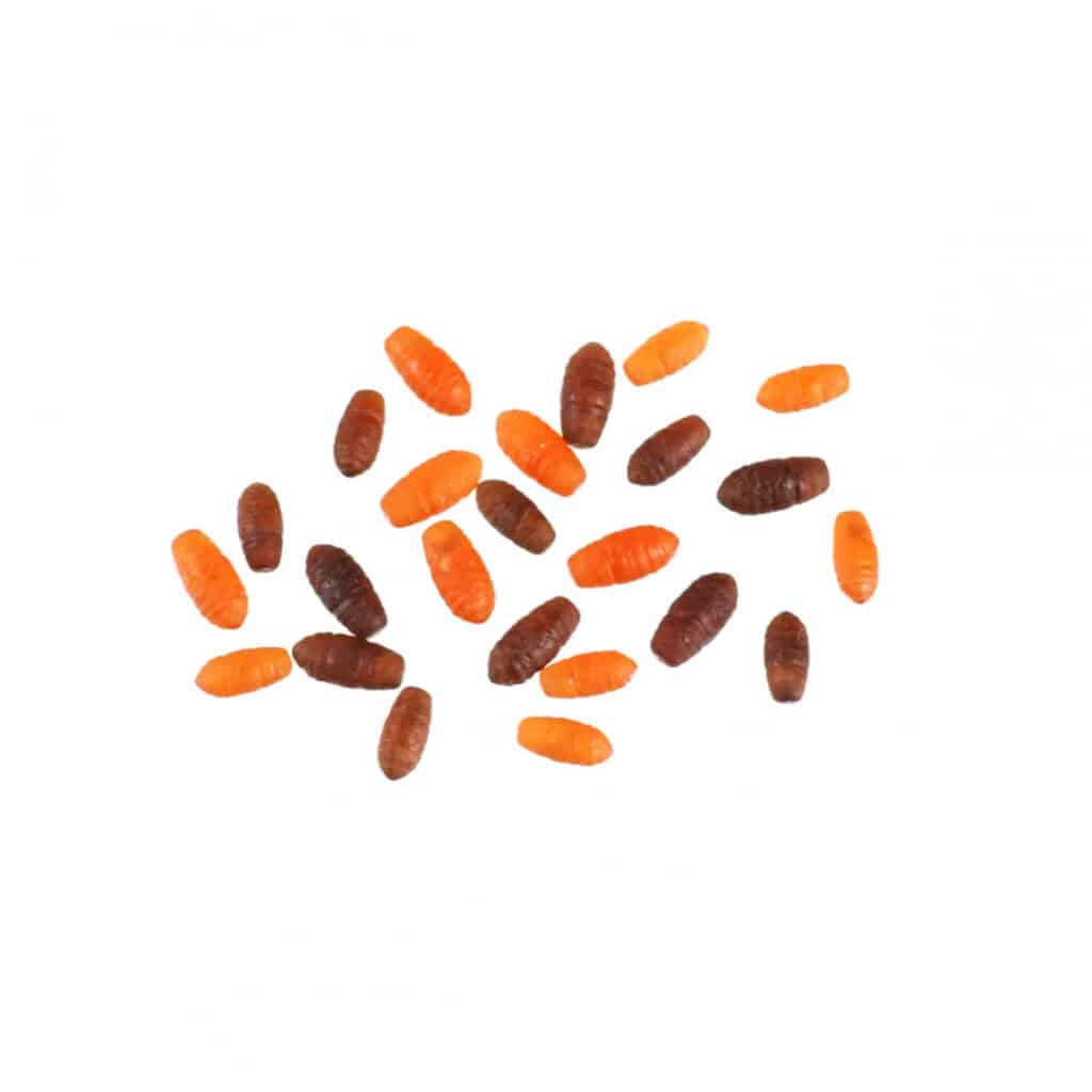 Synthetic Casters Stonfo