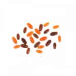 Synthetic Casters Stonfo