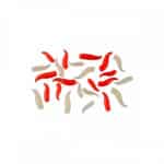 synthetic maggots stonfo