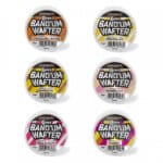 SONUBAITS BAND'UM WAFTERS-17407