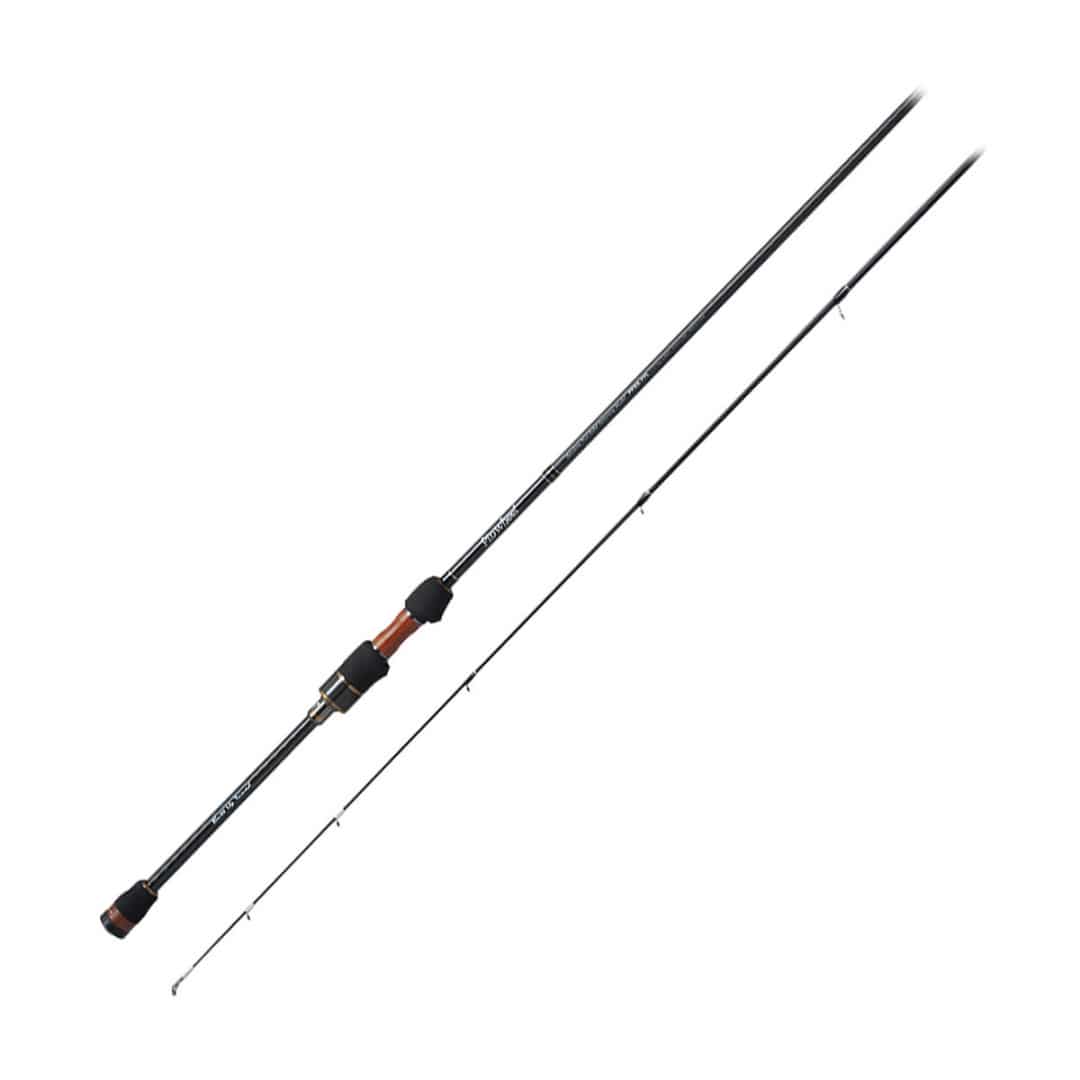 PALMS PINWHEEL-0 PALMS PINWHEEL-0