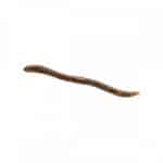 ILLEX FLICK SHAKE 4.8"-0