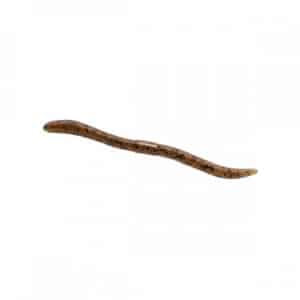 ILLEX FLICK SHAKE 4.8"-0