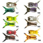 MOLIX SUPERNATO BEETLE-17723