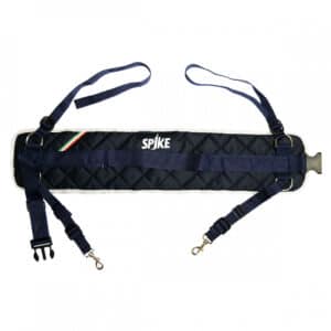 SPIKE RENALE FASCIA-0