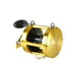 TICA TEAM TM 2021-19169