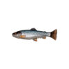SAVAGE GEAR 3D CRAFT TROUT PULSETAIL 16CM-0