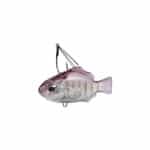 DUO REALIS NOMASE GILL-0