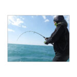 HOWK LITTLE TUNNY-19538