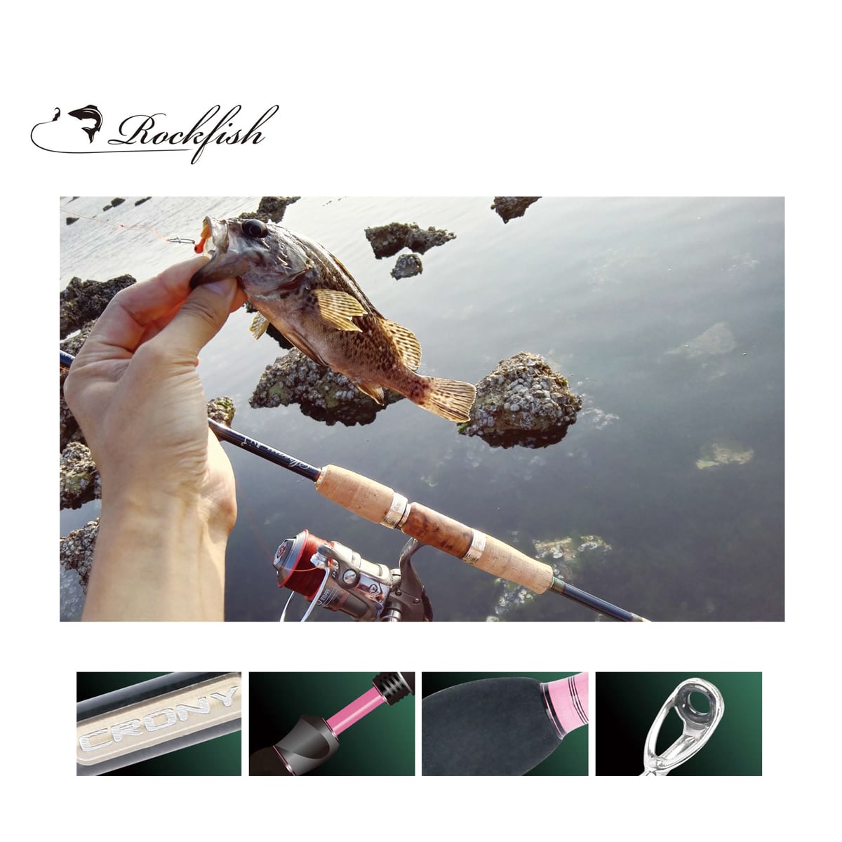 CRONY ROCKFISH-19756 CRONY ROCKFISH-19756