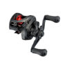 DAIWA 21 PR 100