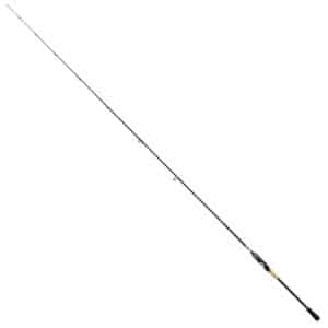 SHIMANO SUSTAIN BX FAST EVA