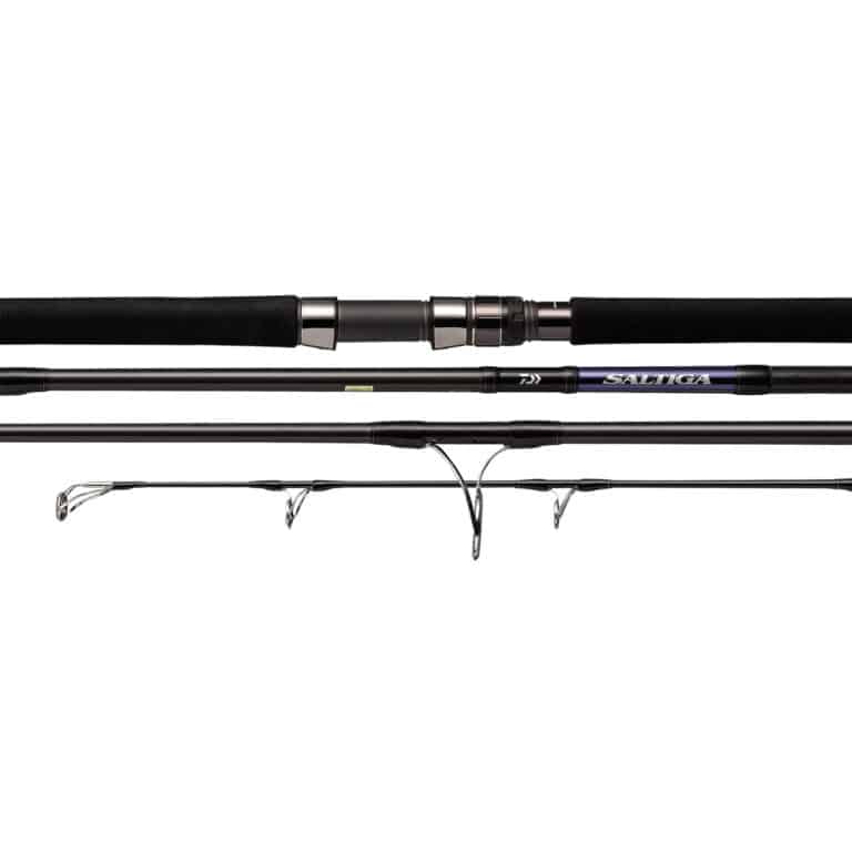 DAIWA 21 SALTIGA C-22230