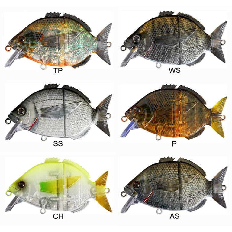 FISHUS ESPARRAL-22661