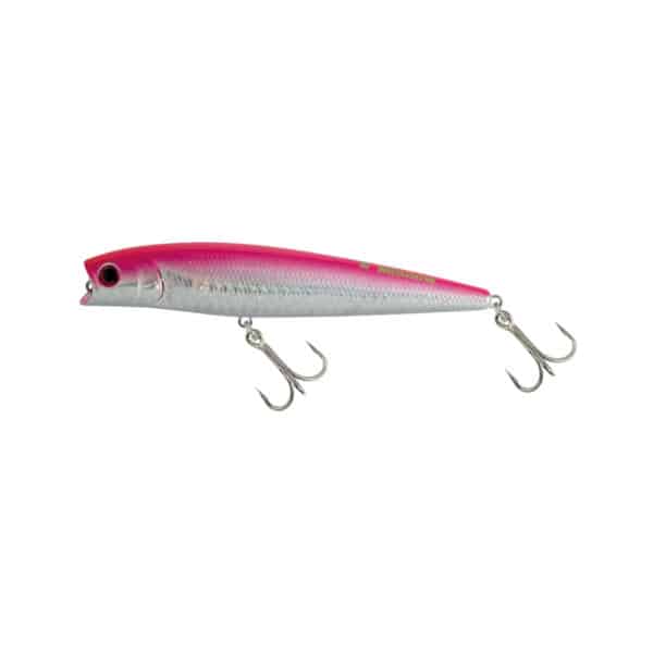JATSUI TIGER MINNOW