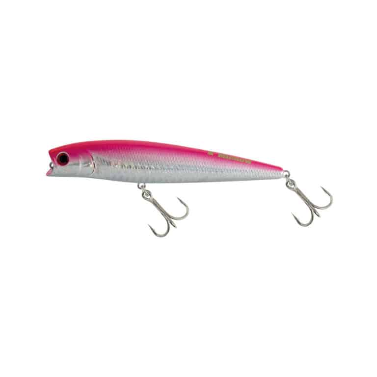 JATSUI TIGER MINNOW