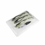 SEASPIN BEAVER TAIL-24505