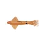 JLC CALAMAR 150 GRAMMI