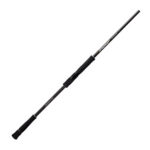 EVERGREEN POSEIDON ZEPHYR AVANTGARDE