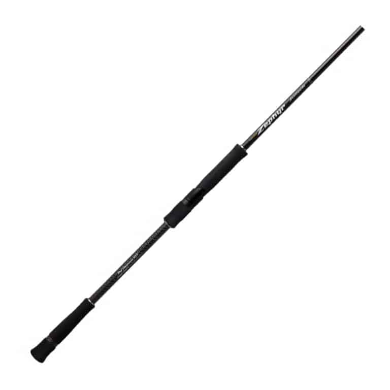 EVERGREEN POSEIDON ZEPHYR AVANTGARDE