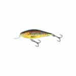SALMO EXECUTOR 7 SR