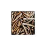 SPIKE CANNOLICCHIO SOTTO LIQUIDO-26865