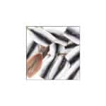 SPIKE SARDINA SOTTO LIQUIDO-26882