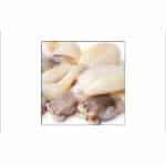 SPIKE SEPPIOLINA SOTTO LIQUIDO-26875