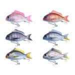 LITTLE JACK CHARIKOM 65-27563