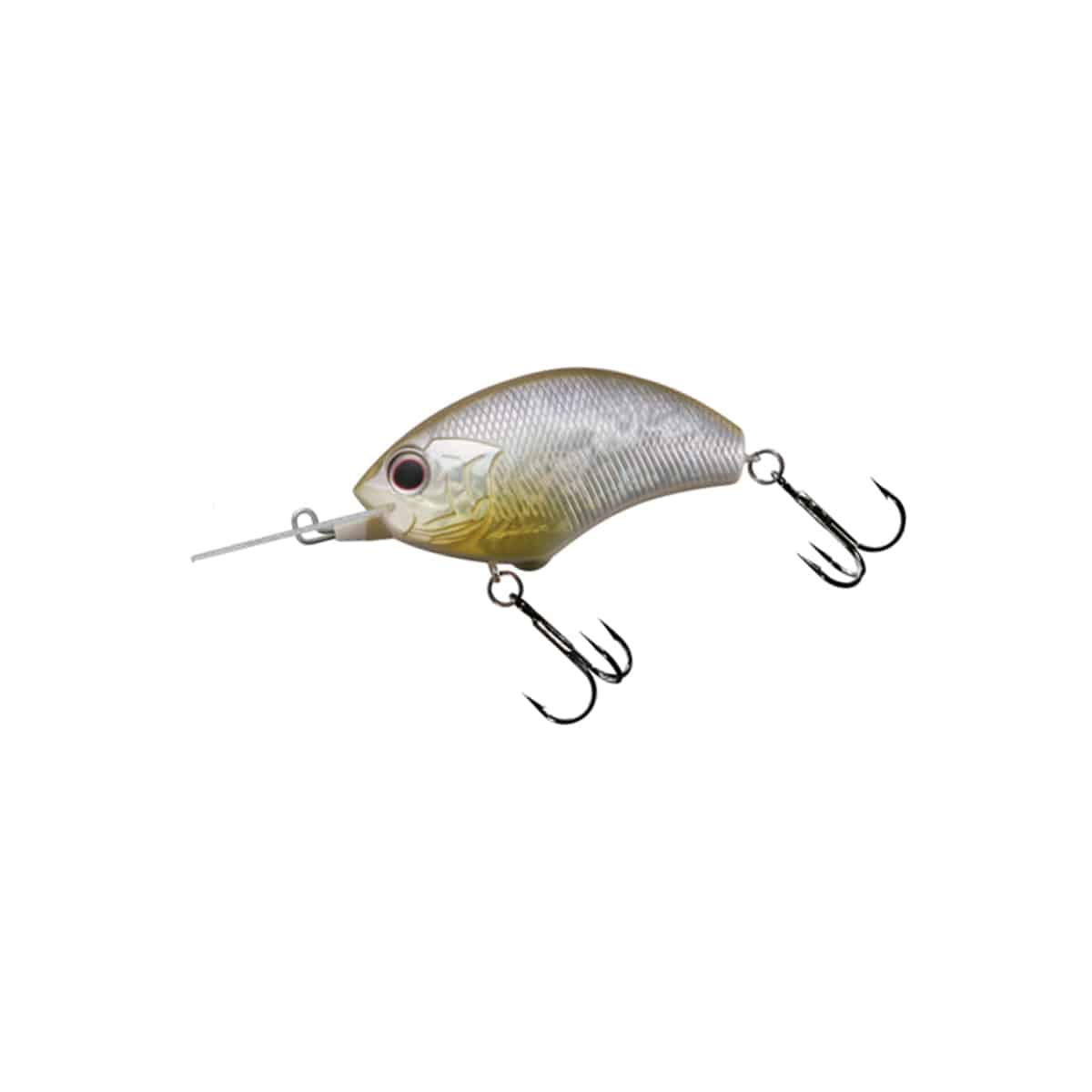 O.S.P BLITZ MR O.S.P BLITZ MR